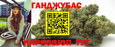 прущие грибы Ставрополь