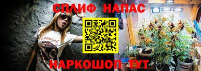 гидра Старая Купавна