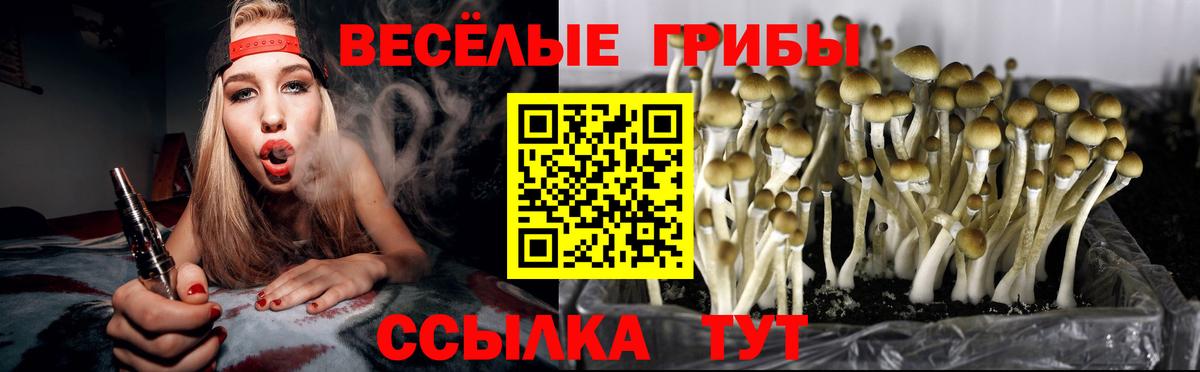 Галлюциногенные грибы прущие грибы  Вход с VPN  Электрогорск 